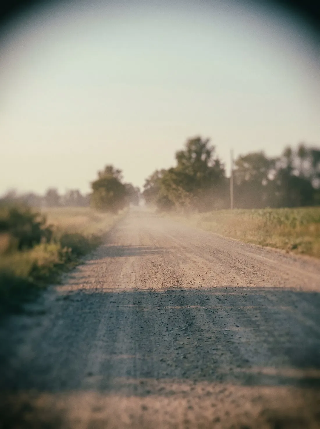 A sun-bleached road blurring into the distance, dust in the air.