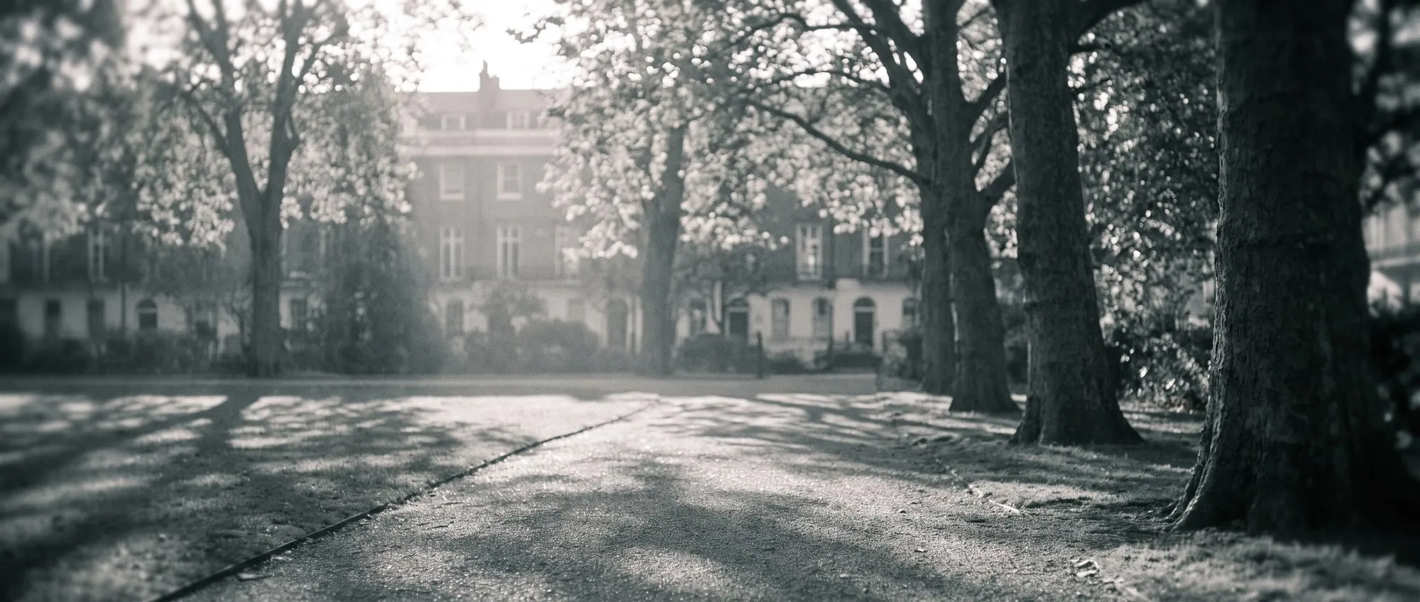 A London garden square in early morning, dappled light on the path between plane trees.