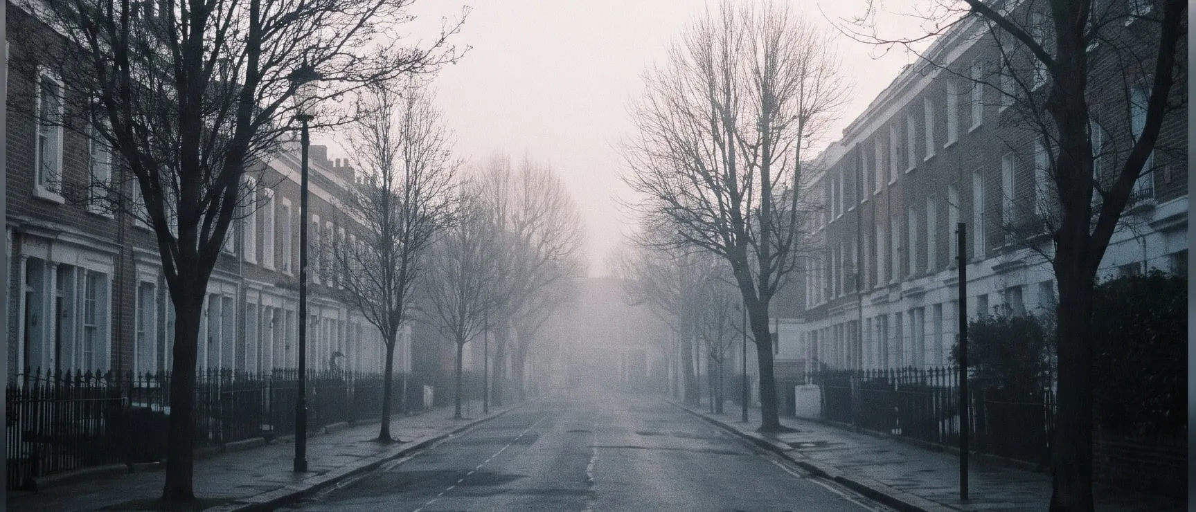 A quiet London terraced street in early morning fog, bare trees lining the road.
